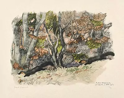 Robert Hainard — Juni 2017 (A145) - Auktionsstart: 23.6.2017, 16:30 — Schuler Auktionen
