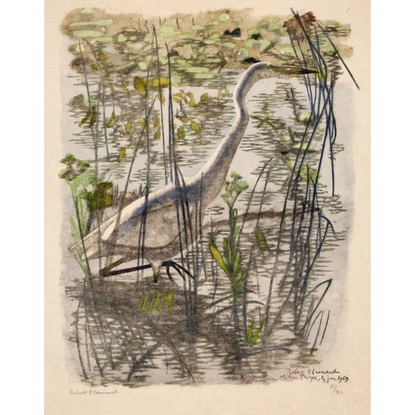 Robert Hainard — "Grande aigrette".