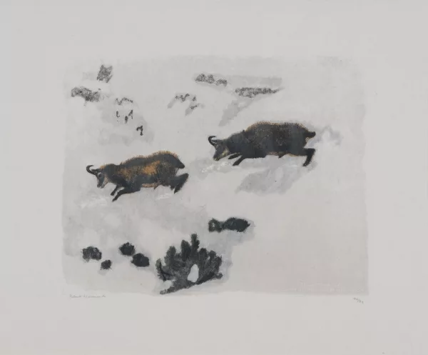 Robert Hainard — Chamois, 1970