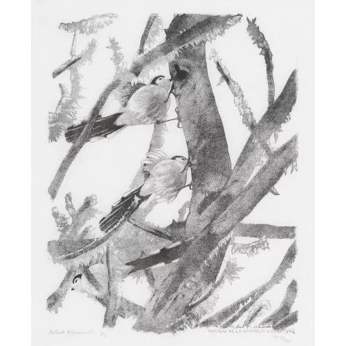Robert Hainard — "Mésanges à longue queue dans le givre".