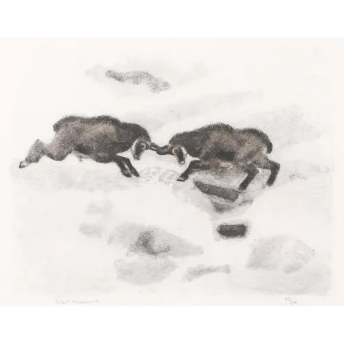 Robert Hainard — "Accrochage de chamois".