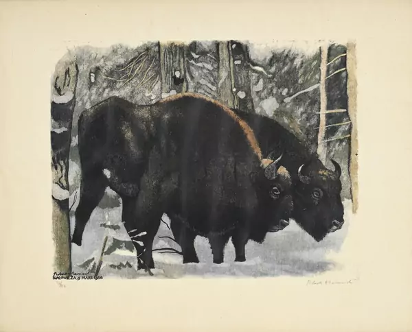 Couple de bisons