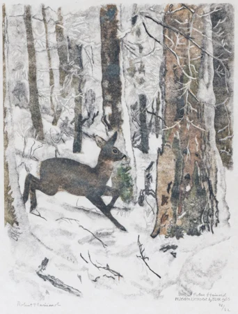 Faon sous la neige