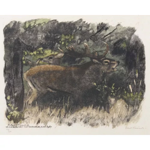 Robert Hainard — "Cerf brâmant, biche et faon".