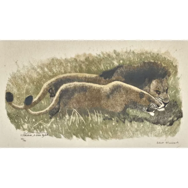 Robert Hainard — "Couple de lions".