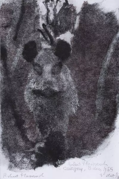 Robert Hainard (1906-1999) — Genève Enchères