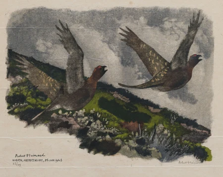 Oiseaux s'envolant