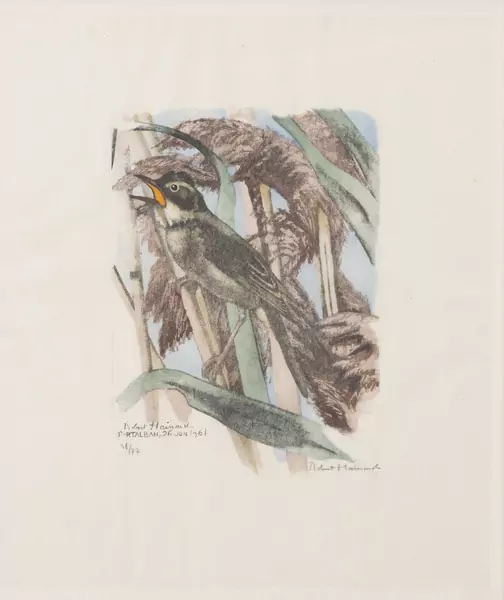 Robert HAINARD (1906-1999), "Verderolle", xylogravure — DognyAuction