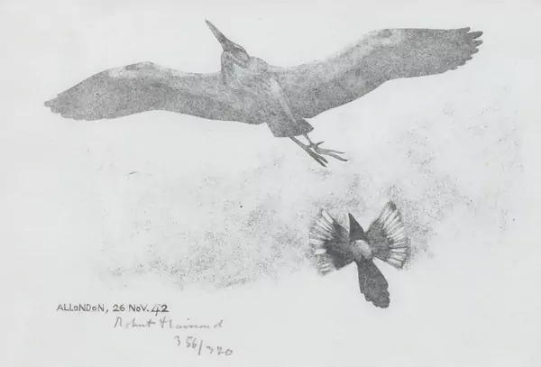 Robert HAINARD (1906-1999), "Héron cendré et Pie", gravure sur bois — DognyAuction