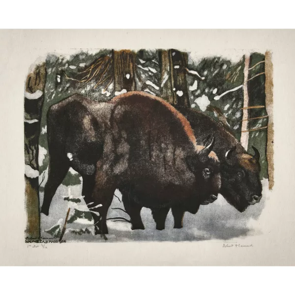 Robert Hainard — "Couple de bisons".