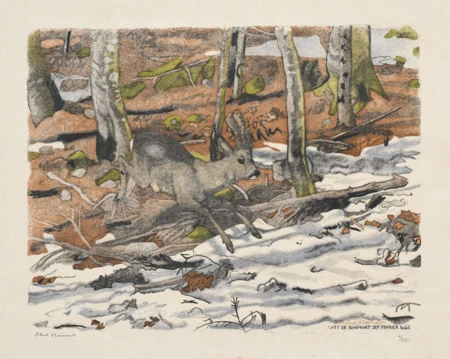 Chevreuil en bois de velours