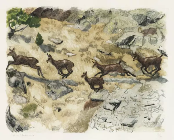 Robert Hainard (1906-1999) — Genève Enchères