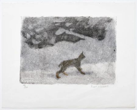 Lynx avant l'aube