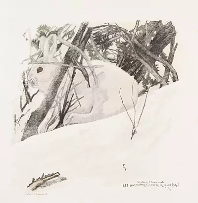 Robert Hainard — Juni 2017 (A145) - Auktionsstart: 23.6.2017, 16:30 — Schuler Auktionen