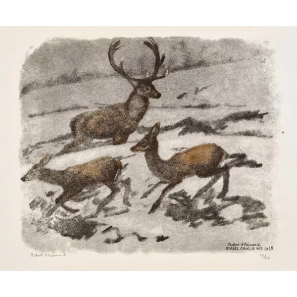 Robert Hainard — "Cerf et biches dans la pénombre".