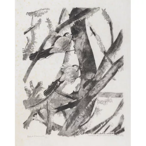 Robert Hainard — "Mésanges à longue queue dans le givre".