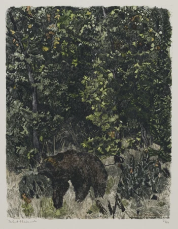 Ours marchant