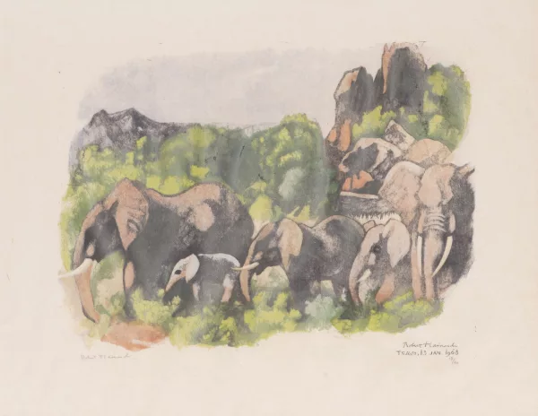 Robert Hainard — Troupeau d'éléphants