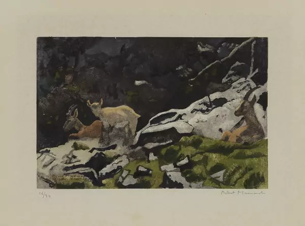 Robert Hainard (1906-1999) — Genève Enchères