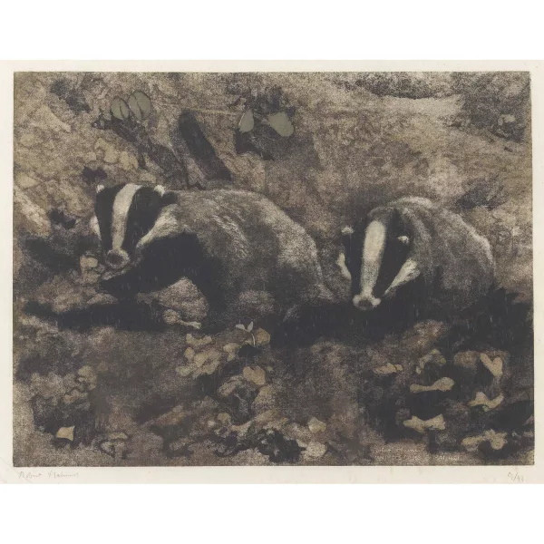Robert Hainard — "Petits blaireaux au clair de lune".