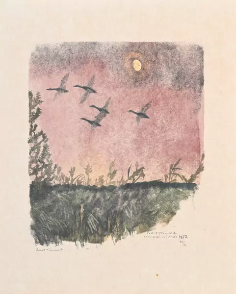 Cinq canards et la lune