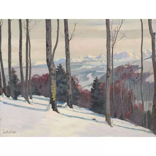 Winterlandschaft mit Blick auf die Berner Alpen