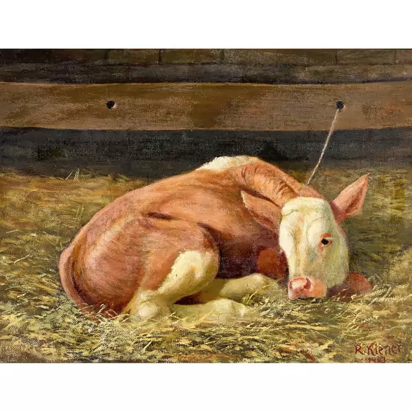 Liegendes Kalb