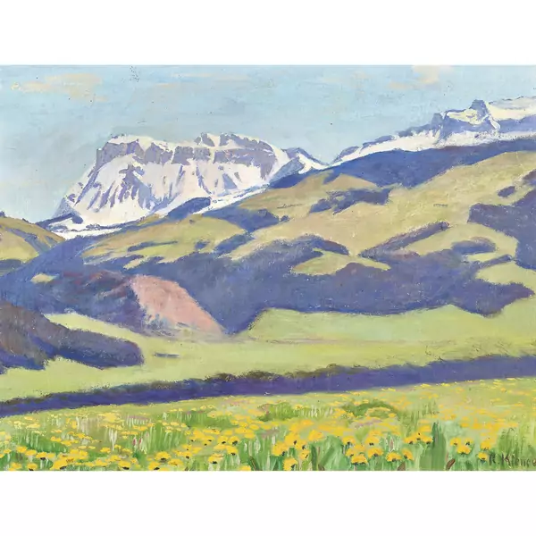 Berglandschaft mit blühender Wiese
