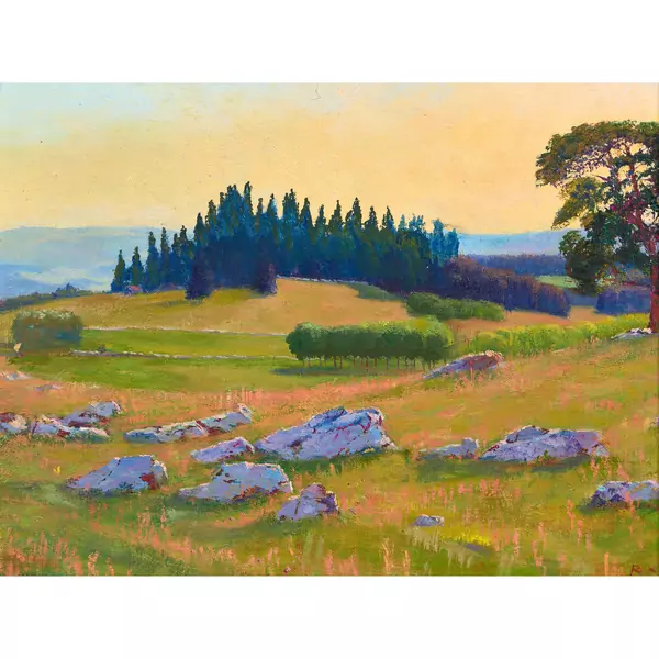 Sommerlandschaft