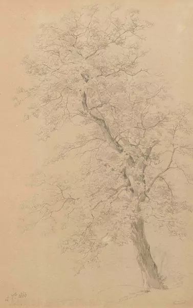 ROBERT ZÜND — Eiche. 1866. — Koller Auktionen