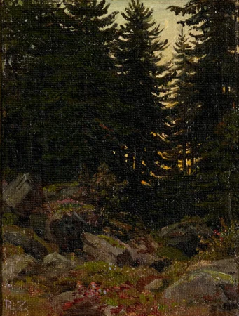 Waldlandschaft