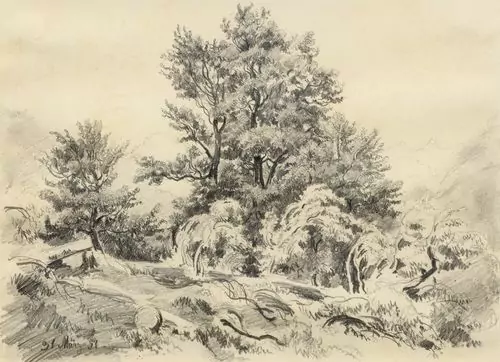 ZÜND, ROBERT — Tree study. 1851. — Koller Auktionen