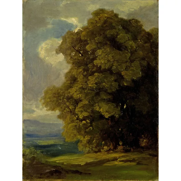 Robert Zünd — Baumstudie