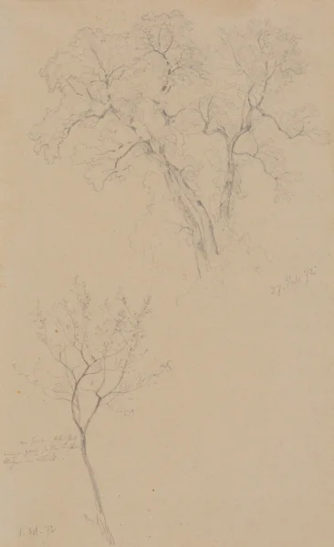Robert Zünd — Baumstudie, 1872