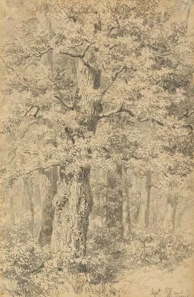 ROBERT ZÜND — Baumstudie. 1850. — Koller Auktionen