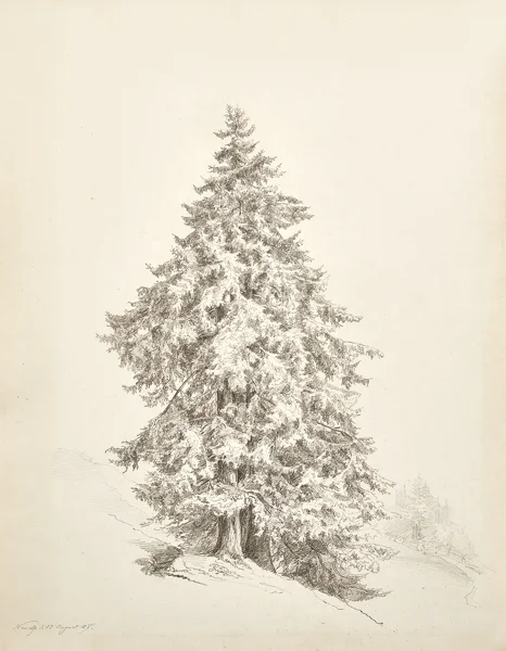 Robert Zünd — Neualp, 1847