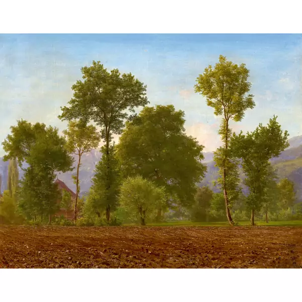 "Morgenstimmung bei Horw"