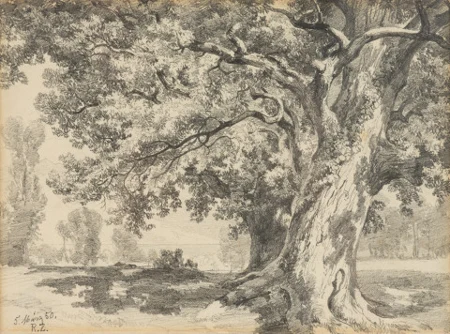Eiche am Vierwaldstättersee, 1850