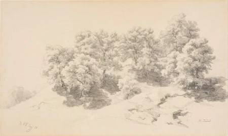 Bäume, 1851