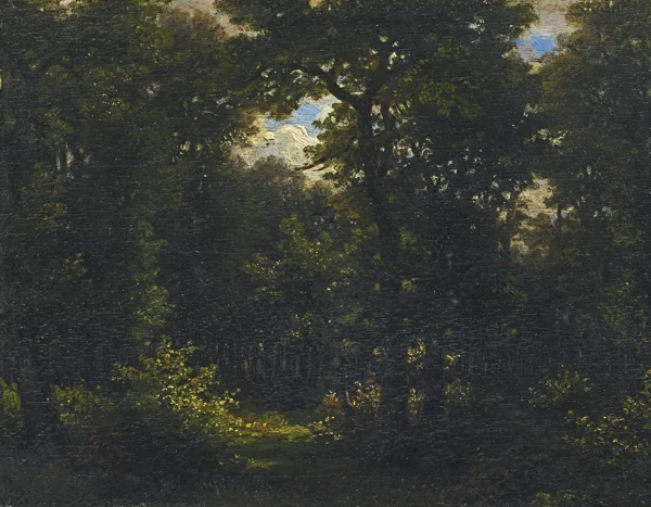 Robert Zünd — Eichwald