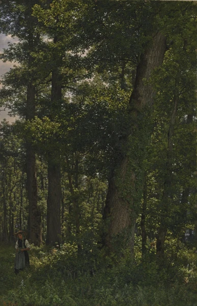 Robert Zünd — Eichwald