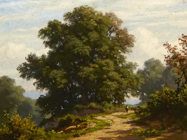 Eichen am Weg