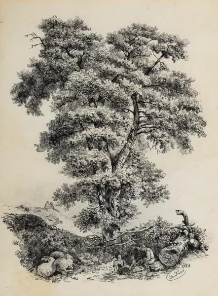 Rast unter grossem Baum