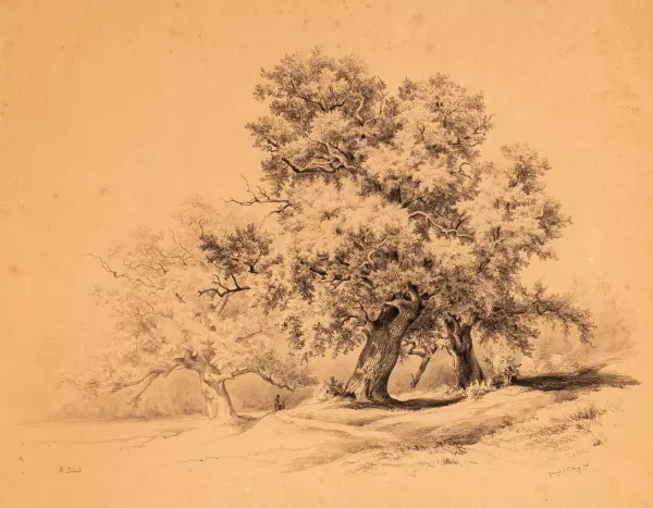 Eichenbäume. 1848
