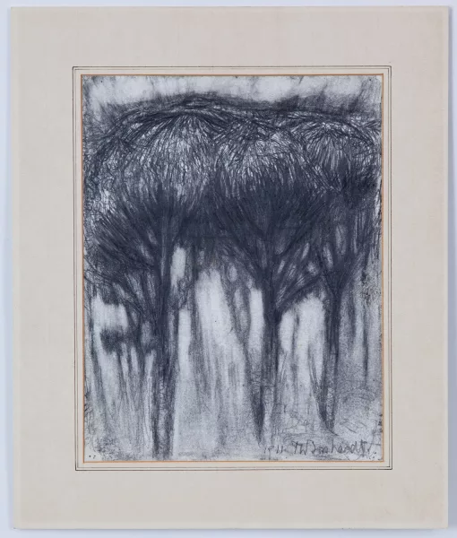 Rodolphe-Théophile Bosshard — Arbres