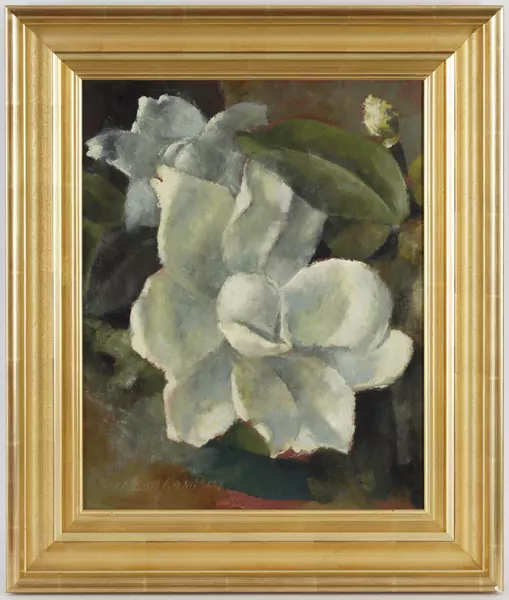 Magnolia