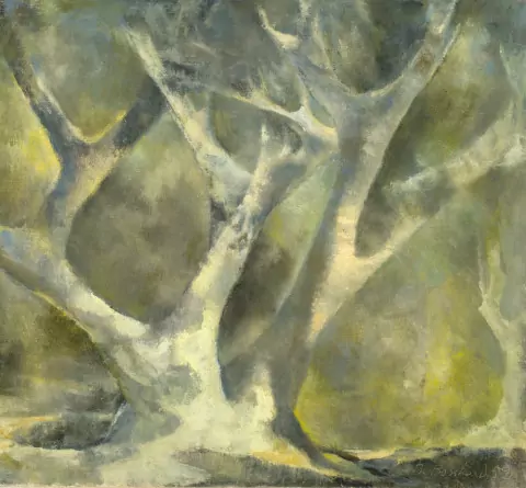 Vieux oliviers, 1952