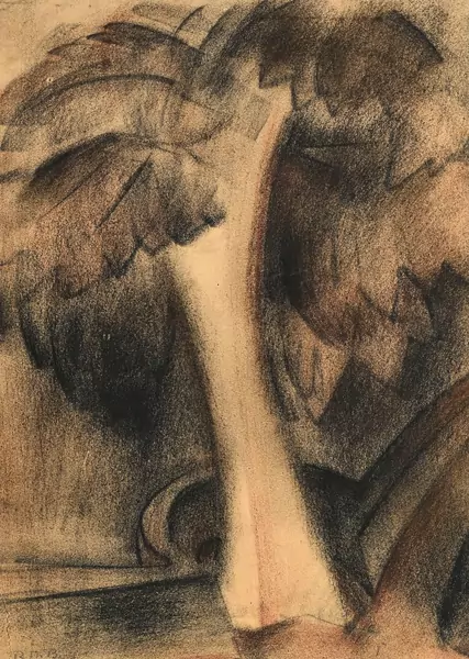 Etude d'un palmier