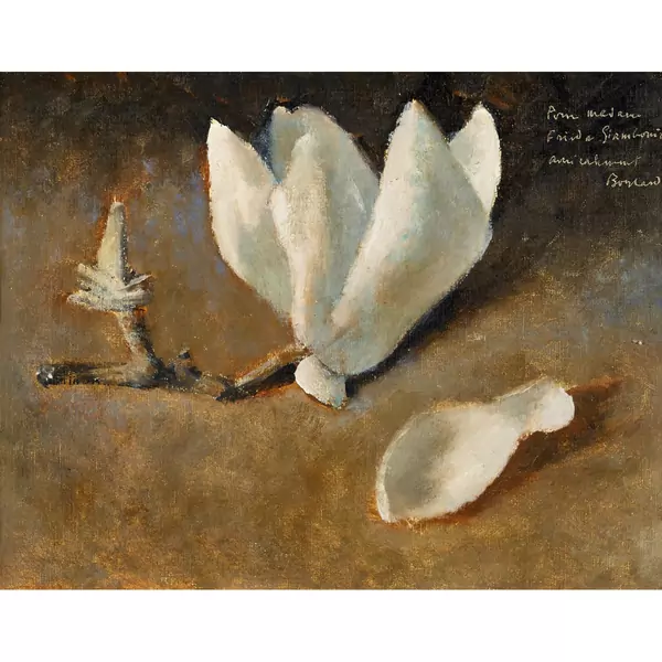 Weisse Magnolienblüte