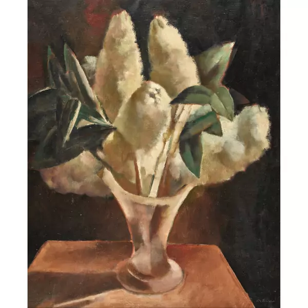 "Lilas blancs"